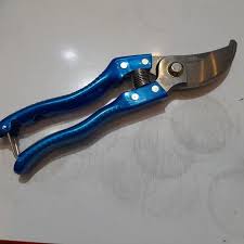 قيچي باغباني تايوان آبي